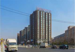 椒江墙面绿化养护